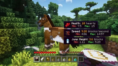 Horse Expert