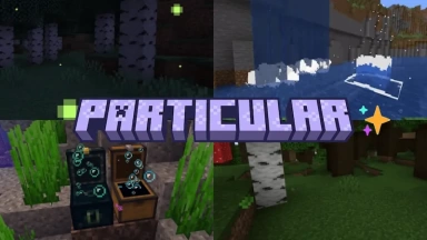 Particular