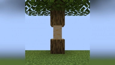 TreeChop