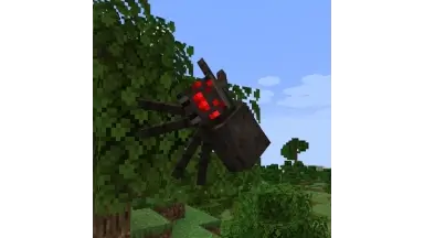 Nyf's Spiders